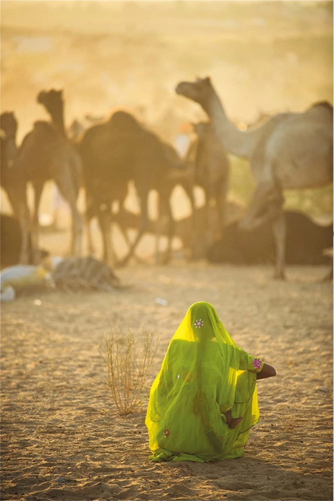 Пазл. National Geographic. Женщина в сари, 1000 эл. (Clementoni)
